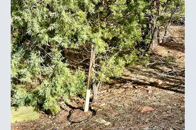 321 W Aspen Trail #240, Show Low, AZ 85901 - Photo 12