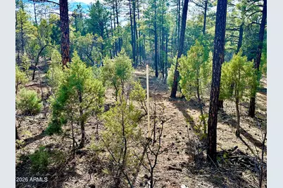 321 W Aspen Trail #240, Show Low, AZ 85901 - Photo 14