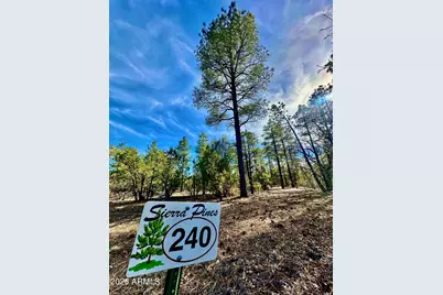 321 W Aspen Trail #240, Show Low, AZ 85901 - Photo 2