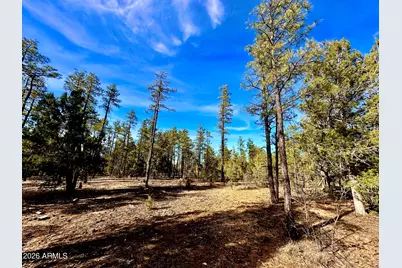 321 W Aspen Trail #240, Show Low, AZ 85901 - Photo 4