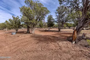 2137 Graphite Rd, Clay Springs, AZ 85923 - Photo 34