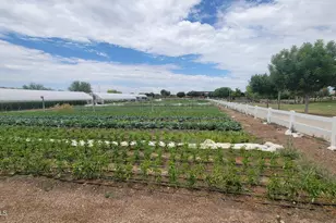 10153 E Catalyst Ave, Mesa, AZ 85212 - Photo 22