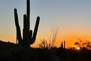 31626 N Pima Rd, Scottsdale, AZ 85266 - Photo 1