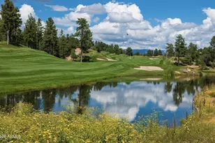 2706 E Wild Rose Cir, Payson, AZ 85541 - Photo 34