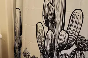 1967 E Frye Rd, Gilbert, AZ 85295 - Photo 8