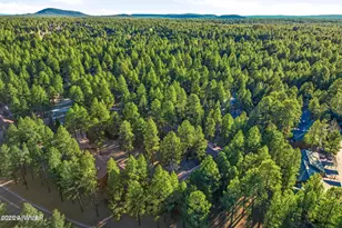 2582 Mustang Circle, Pinetop, AZ 85935 - Photo 28