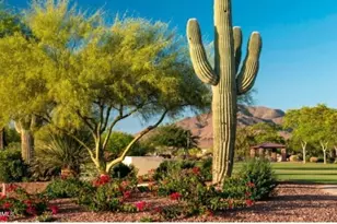 40269 N Patriot Way, Anthem, AZ 85086 - Photo 28