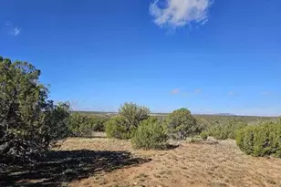 Sec 12 T14N R16E:nw4 Ne4 Se4 --, Heber, AZ 85928 - Photo 1