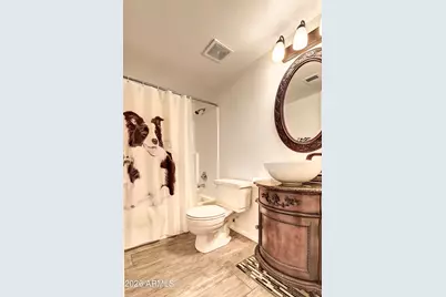 724 W Palomino Drive, Chandler, AZ 85225 - Photo 30