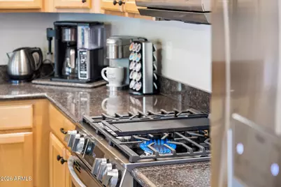 2523 N Via Serena Circle, Mesa, AZ 85207 - Photo 24