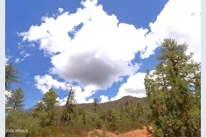 018E &014U Pine Hollow Trail #018E & 014U, Pine, AZ 85544 - Photo 2