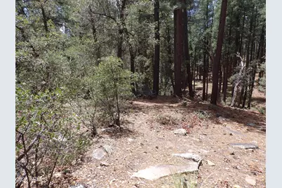 018E &014U Pine Hollow Trail #018E & 014U, Pine, AZ 85544 - Photo 6