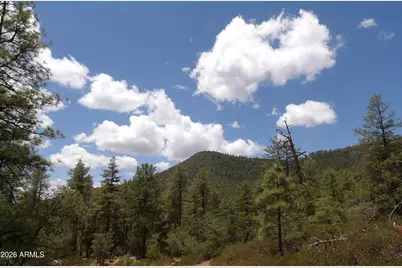 018E &014U Pine Hollow Trail #018E & 014U, Pine, AZ 85544 - Photo 1