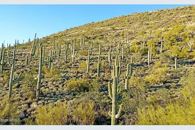 7500 E Highland Road #-, Cave Creek, AZ 85331 - Photo 6