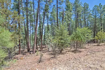 Lot 138 Marcy Way #138, Pine, AZ 85544 - Photo 2