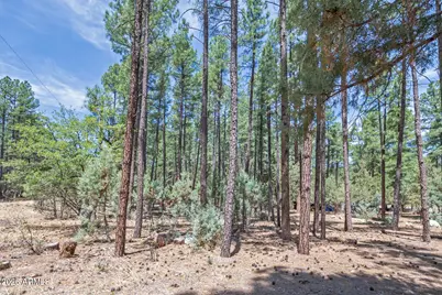 Lot 138 Marcy Way #138, Pine, AZ 85544 - Photo 6