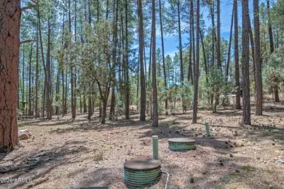 Lot 138 Marcy Way #138, Pine, AZ 85544 - Photo 4