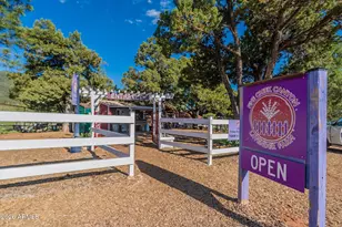 8397 W Turkey Run Dr, Pine, AZ 85544 - Photo 66