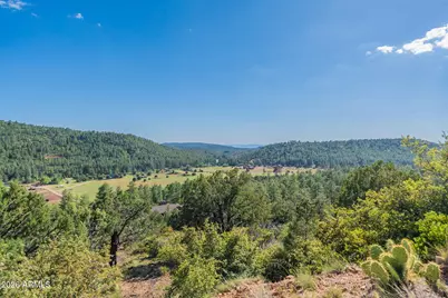 8397 W Turkey Run Drive, Pine, AZ 85544 - Photo 64