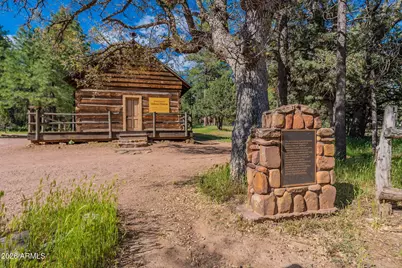 8397 W Turkey Run Drive, Pine, AZ 85544 - Photo 60