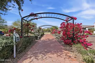 20552 W Carlton Manor, Buckeye, AZ 85396 - Photo 26