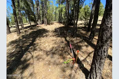 2870 Coyote Ridge #54, Happy Jack, AZ 86024 - Photo 20