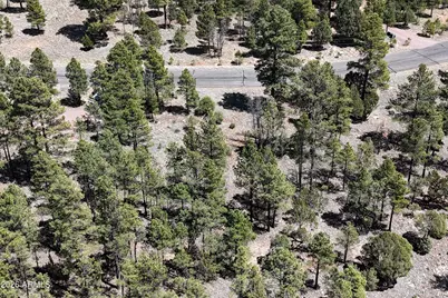 2870 Coyote Ridge #54, Happy Jack, AZ 86024 - Photo 34