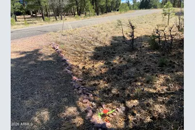 2870 Coyote Ridge #54, Happy Jack, AZ 86024 - Photo 16