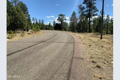 2870 Coyote Ridge #54, Happy Jack, AZ 86024 - Photo 24