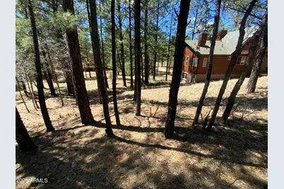 2870 Coyote Ridge #54, Happy Jack, AZ 86024 - Photo 14