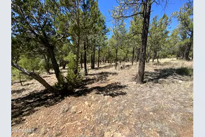 2870 Coyote Ridge #54, Happy Jack, AZ 86024 - Photo 12
