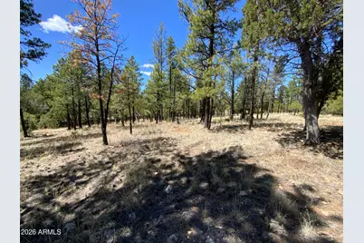 2870 Coyote Ridge #54, Happy Jack, AZ 86024 - Photo 2