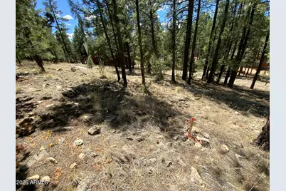 2870 Coyote Ridge #54, Happy Jack, AZ 86024 - Photo 18