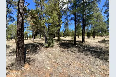 2870 Coyote Ridge #54, Happy Jack, AZ 86024 - Photo 6