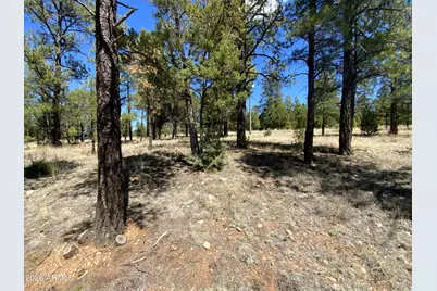 2870 Coyote Ridge #54, Happy Jack, AZ 86024 - Photo 10