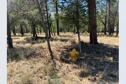 2870 Coyote Ridge #54, Happy Jack, AZ 86024 - Photo 22