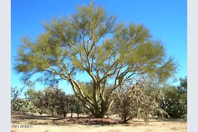0 N 220th Avenue #-, Surprise, AZ 85378 - Photo 1