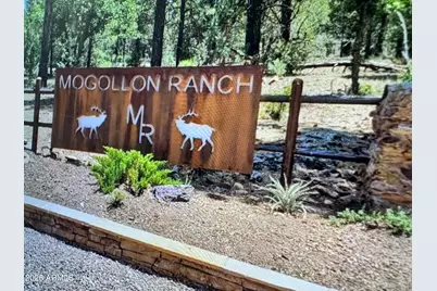 3665 Pinehurst Drive #170, Happy Jack, AZ 86024 - Photo 2