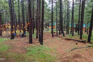 2600 Summer Loop, Forest Lakes, AZ 85931 - Photo 42