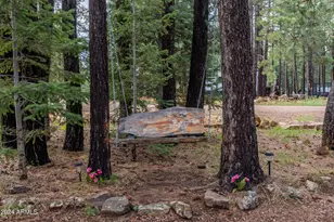 2600 Summer Loop, Forest Lakes, AZ 85931 - Photo 40