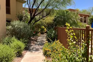 16801 N 94th St, Scottsdale, AZ 85260 - Photo 50