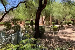 16801 N 94th St, Scottsdale, AZ 85260 - Photo 50