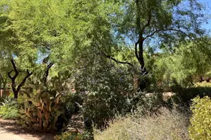 16801 N 94th St, Scottsdale, AZ 85260 - Photo 52