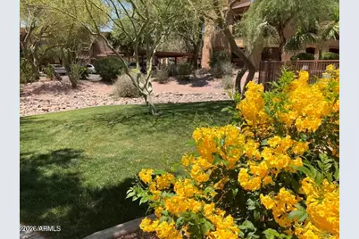 16801 N 94th Street #1063, Scottsdale, AZ 85260 - Photo 48