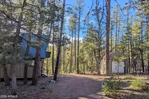 298 S Conifer Dr S, Payson, AZ 85541 - Photo 14