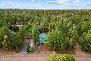2236 Cross Country Rd, Overgaard, AZ 85933 - Photo 48