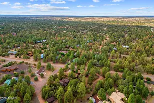 2236 Cross Country Rd, Overgaard, AZ 85933 - Photo 50
