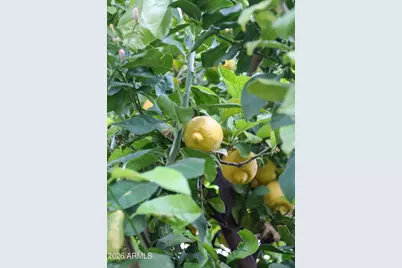 6625 E Culver Street, Scottsdale, AZ 85257 - Photo 34