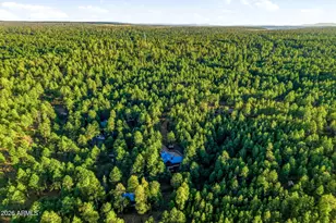 2070 Gobbler Ln, Forest Lakes, AZ 85931 - Photo 60