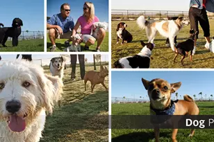 5781 N Oak Crk Dr, Eloy, AZ 85131 - Photo 36